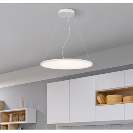 Westinghouse 65775 - Lámpara de araña LED regulable en cadena ATLER LED/40W/230V 60 cm