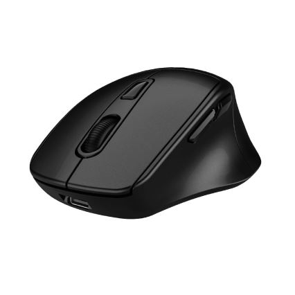 Winner Group - Ratón inalámbrico SEA MOUSE de 500 mAh, negro
