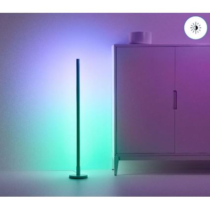 WiZ - Lámpara de pie LED RGBW regulable POLO LED/13W/230V 2200-6500K Wi-Fi