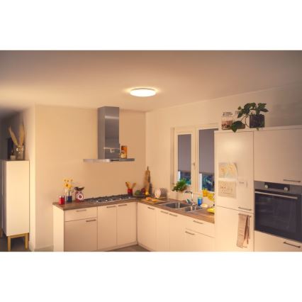 WiZ - Plafón LED regulable SUPERSLIM LED/17W/230V 4000K Wi-Fi