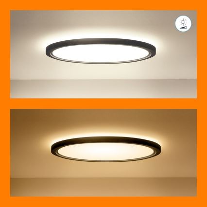 WiZ - Plafón LED RGB regulable SUPERSLIM LED/32W/230V 2700-6500K Wi-Fi negro