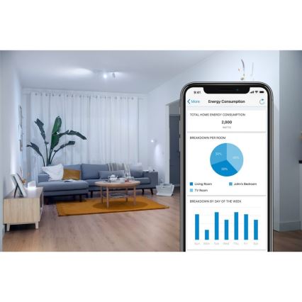 WiZ - Toma inteligente F 2300W + powermeter Wi-Fi SCHUKO