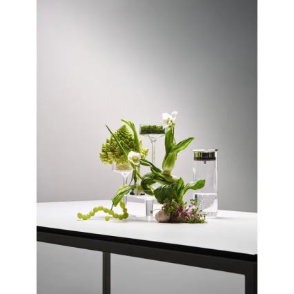 WMF - Jarra para agua MOTION 800 ml