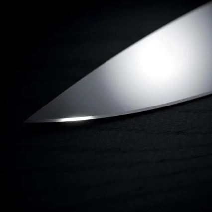 WMF - Set de cuchillos de cocina con bloque GRAND WOOD, 6 piezas