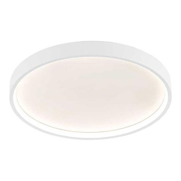Wofi 12055 - Lámpara de techo LED regulable DUBAI LED/27,5W/230V blanca