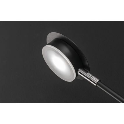 Wofi 446604109000 - Aplique LED BELIZE 4xLED/5W/230V 3000K negro