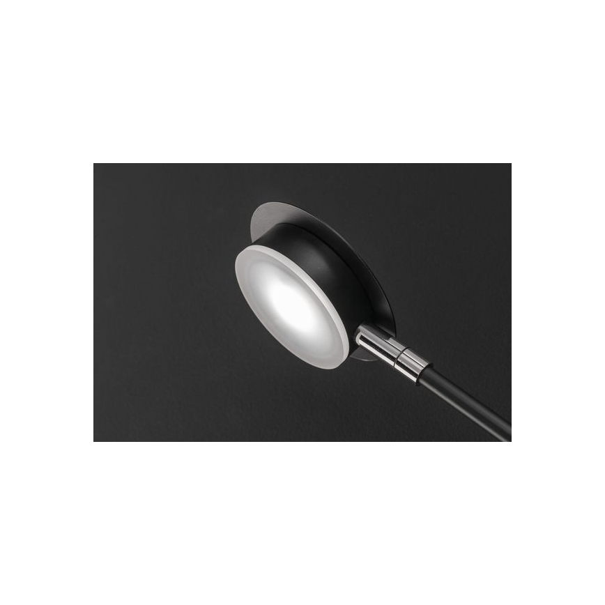 Wofi 446604109000 - Aplique LED BELIZE 4xLED/5W/230V 3000K negro