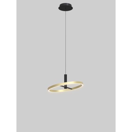 Wofi 6016-104L - LED lámpara colgante regulable suspendida por cable BREST LED/19W/230V Ø 42 cm negro/dorado