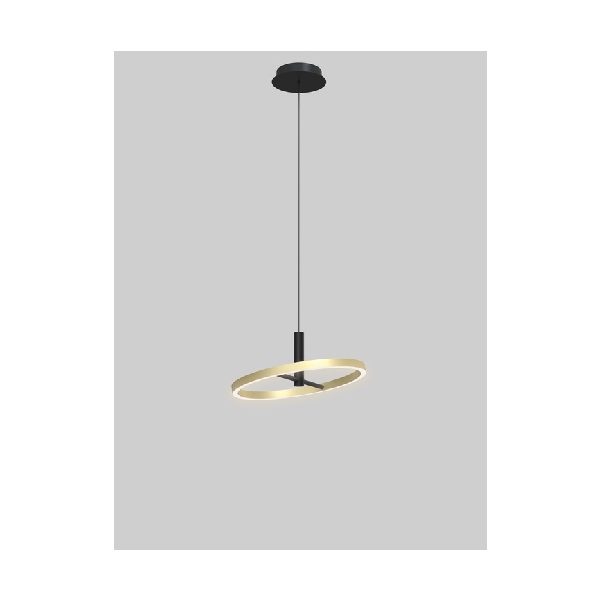 Wofi 6016-104L - LED lámpara colgante regulable suspendida por cable BREST LED/19W/230V Ø 42 cm negro/dorado