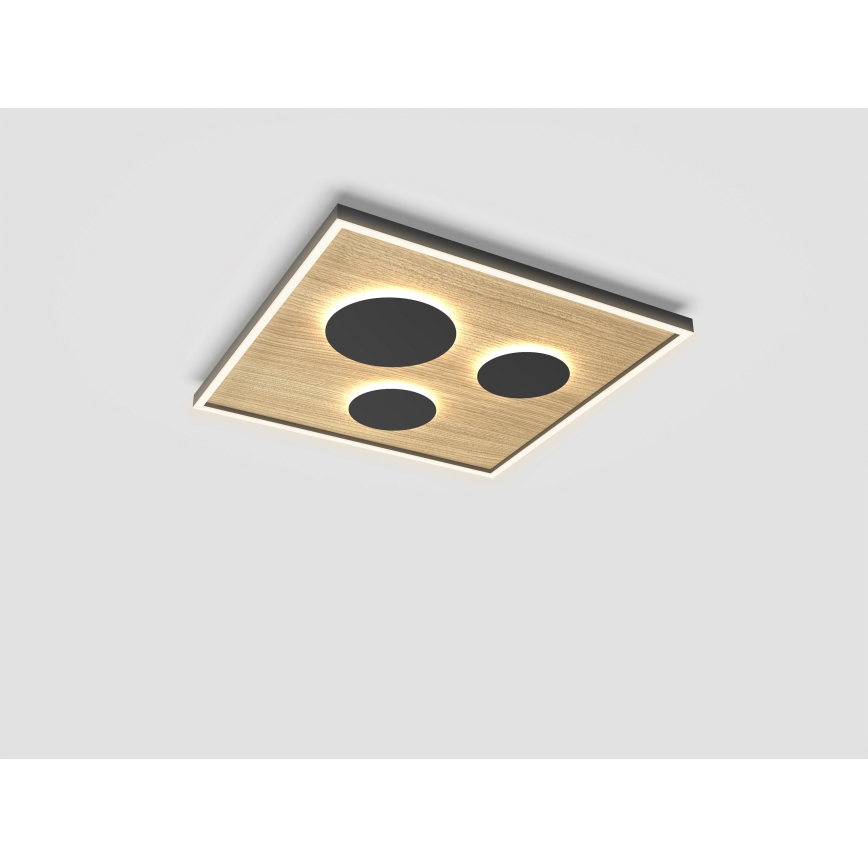 Wofi 9012-306L - Plafón LED regulable DIJON LED/40W/230V