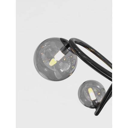 Wofi 9014-1205 - Lámpara de techo LED NANCY 12xG9/3,5W/230V negro/cromo brillante