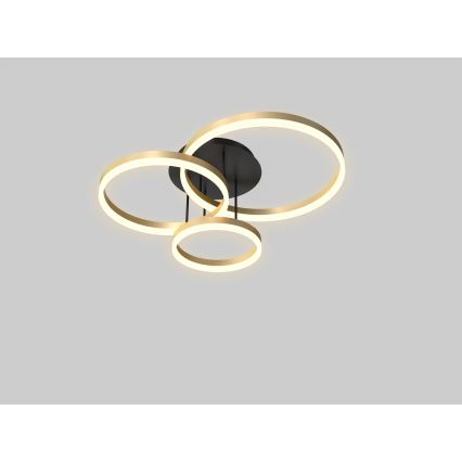Wofi 9049-401 - Lámpara de techo LED regulable PERPIGNAN LED/51W/230V dorado