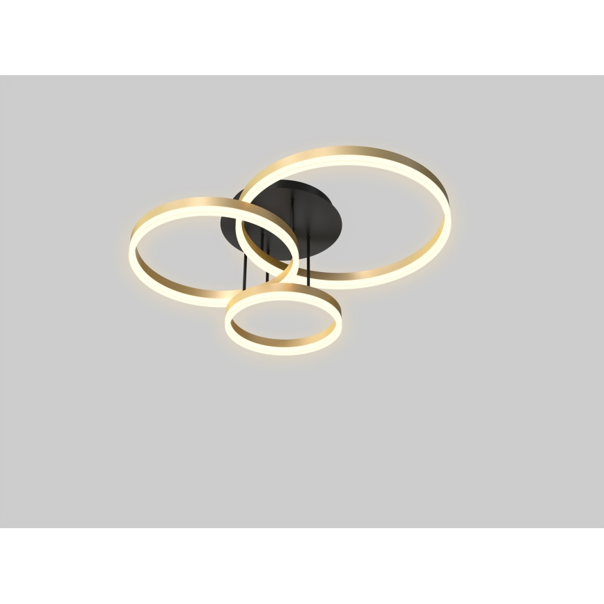 Wofi 9049-401 - Lámpara de techo LED regulable PERPIGNAN LED/51W/230V dorado