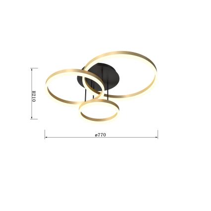 Wofi 9049-401 - Lámpara de techo LED regulable PERPIGNAN LED/51W/230V dorado