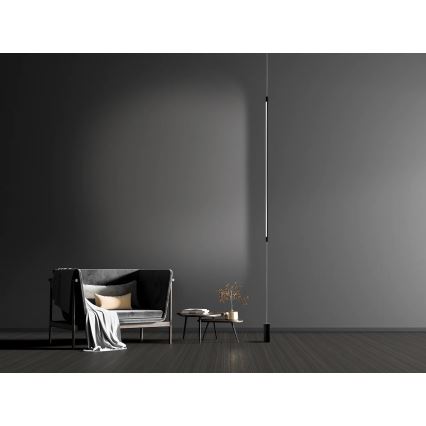 Zambelis 20184 - Lámpara LED de pie LED/22W/230V