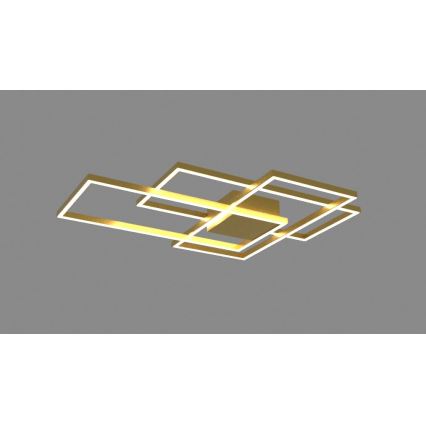 Zambelis 2022 - Lámpara de techo LED regulable LED/55W/230V dorado