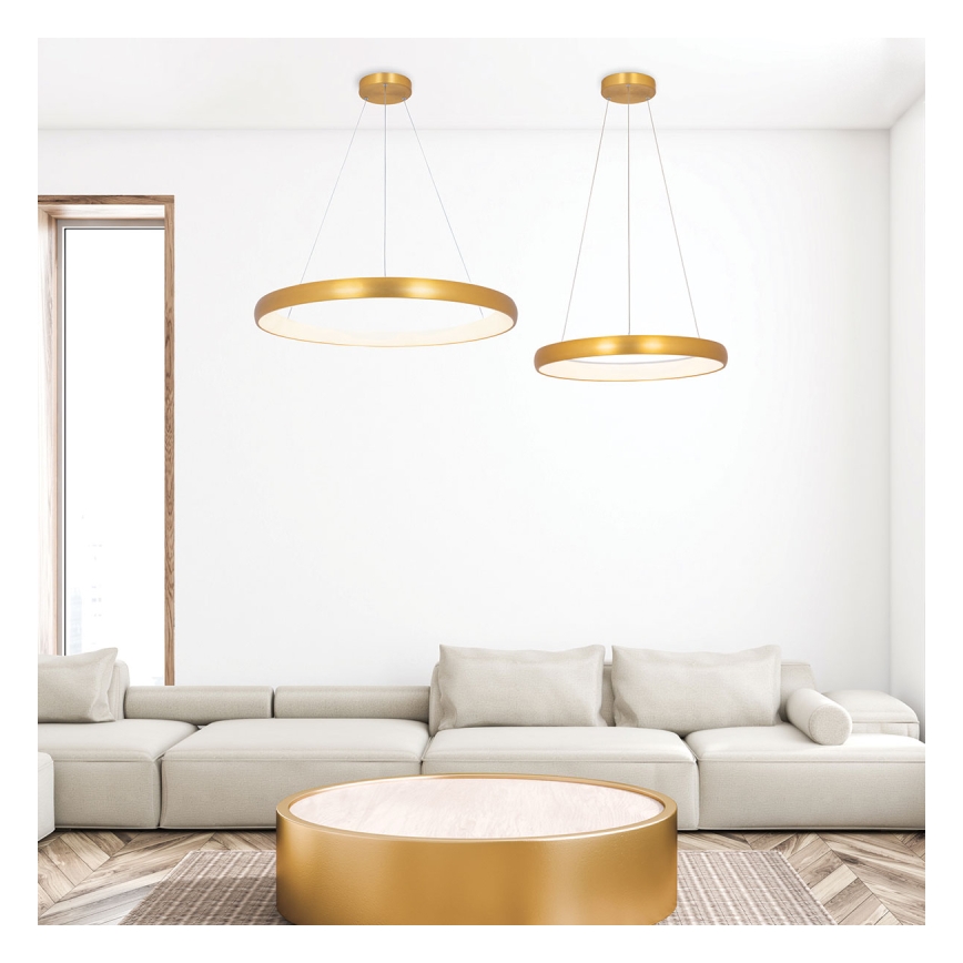 Zambelis 2054 - Lámpara de araña LED regulable LED/50W/230V diá. 60 cm dorado