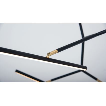 Zambelis 2070 - Lámpara colgante LED regulable LED/49W/230V negro