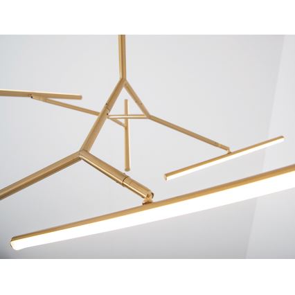 Zambelis 2071 - Lámpara colgante LED regulable LED/49W/230V dorado