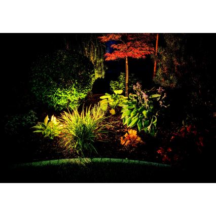 Zambelis E152 - Lámpara LED de exterior LED/7W/230V IP65 antracita