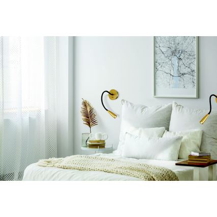 Zambelis H63 - Lámpara LED flexible pequeña LED/3W/230V latón