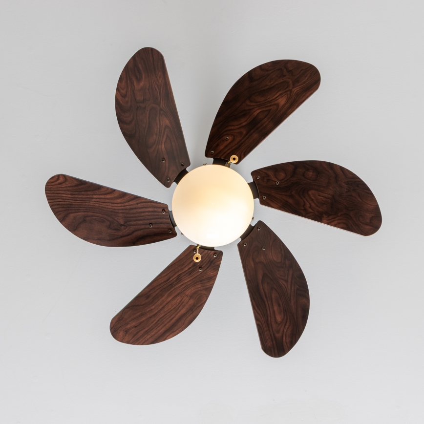 ZEVENTI - Ventilador de techo FAMARA 1xE14/60W/230V
