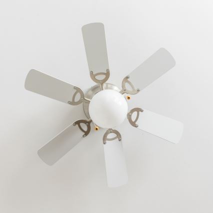 ZEVENTI - Ventilador de techo GALDANA 1xE27/60W/230V gris/blanco