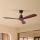 ZEVENTI - Ventilador de techo LIONI Wi-Fi Tuya negro/roble + control remoto