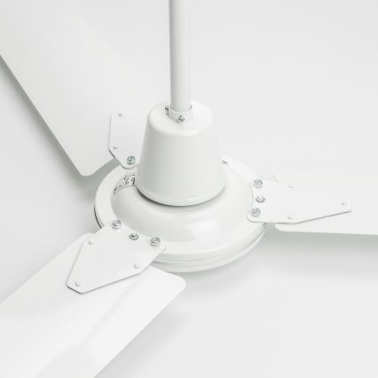 ZEVENTI - Ventilador de techo TOFINO blanco