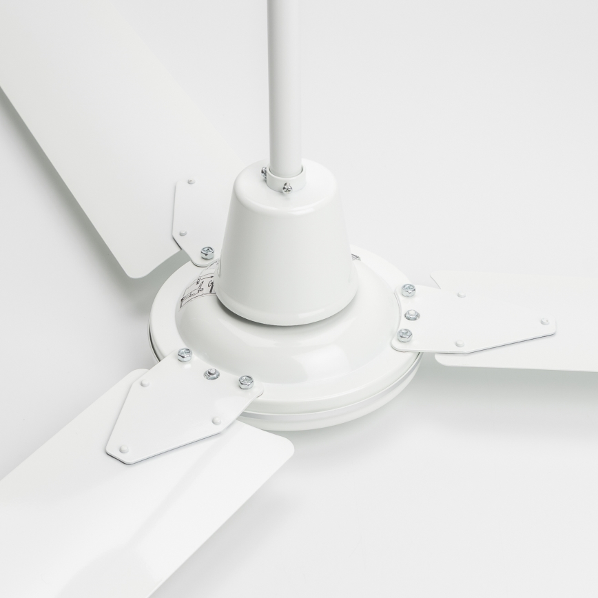 ZEVENTI - Ventilador de techo TOFINO blanco