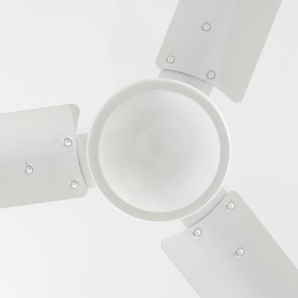 ZEVENTI - Ventilador de techo TOFINO blanco