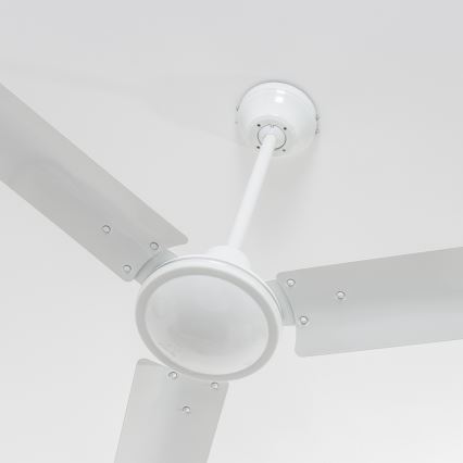 ZEVENTI - Ventilador de techo TOFINO blanco