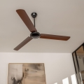 ZEVENTI - Ventilador de techo TOFINO marrón