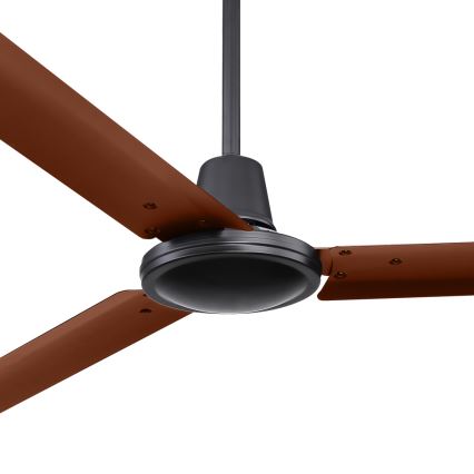 ZEVENTI - Ventilador de techo TOFINO marrón