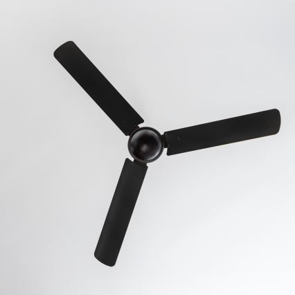 ZEVENTI - Ventilador de techo TOFINO negro