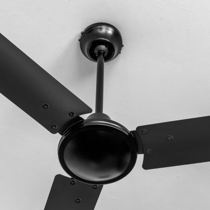 ZEVENTI - Ventilador de techo TOFINO negro