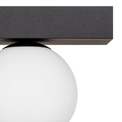 Zuma Line - Plafón 1xG9/8W/230V negro