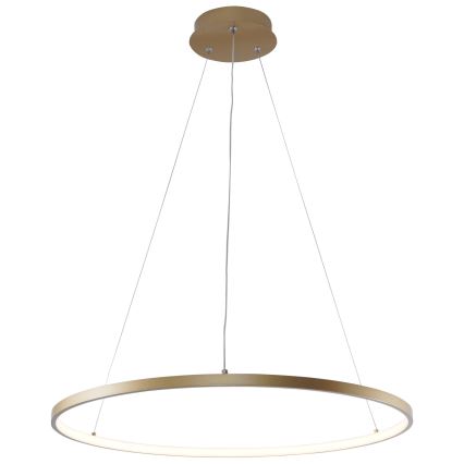 Zuma Line - Lámpara LED colgante LED/28W/230V 3000/4000/6000K diá. 60 cm dorado