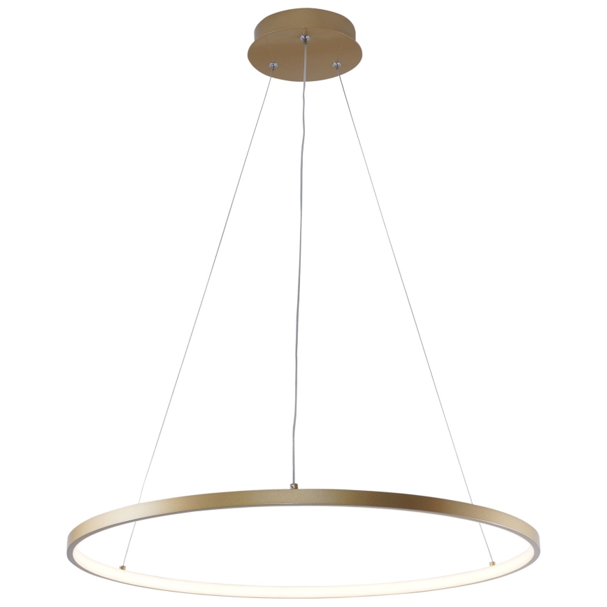 Zuma Line - Lámpara LED colgante LED/28W/230V 3000/4000/6000K diá. 60 cm dorado