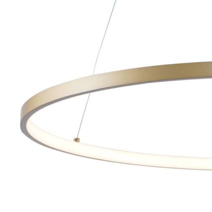 Zuma Line - Lámpara LED colgante LED/28W/230V 3000/4000/6000K diá. 60 cm dorado