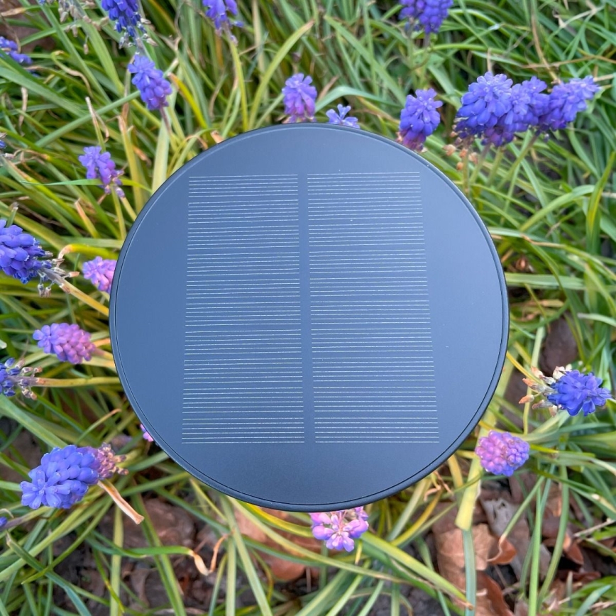 Zuma Line - Lámpara de mesa LED solar recargable y regulable LED/2W/2000 mAh IP44 negro