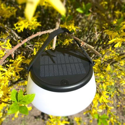 Zuma Line - Lámpara solar recargable y regulable LED/2,2W/2000mAh IP44 negro