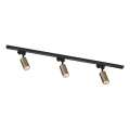 Zuma Line - Foco empotrado en el sistema de riel 3xGU10/35W/230V negro/dorado