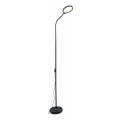 Zuma Line - Lámpara de pie LED regulable LED/10W/230V 3000/4500/6500K negro