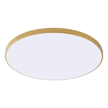 Zuma Line - Lámpara de techo LED VERI LED/44W/230V Ø 47 cm, dorada