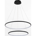 Zuma Line - Lámpara LED colgante LED/40W/230V negro