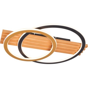 Zuma Line - Luminaria de techo LED/40W/230V