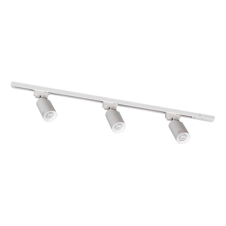 Zuma Line - Luminaria puntual para sistema de carril 3xGU10/35W/230V blanca