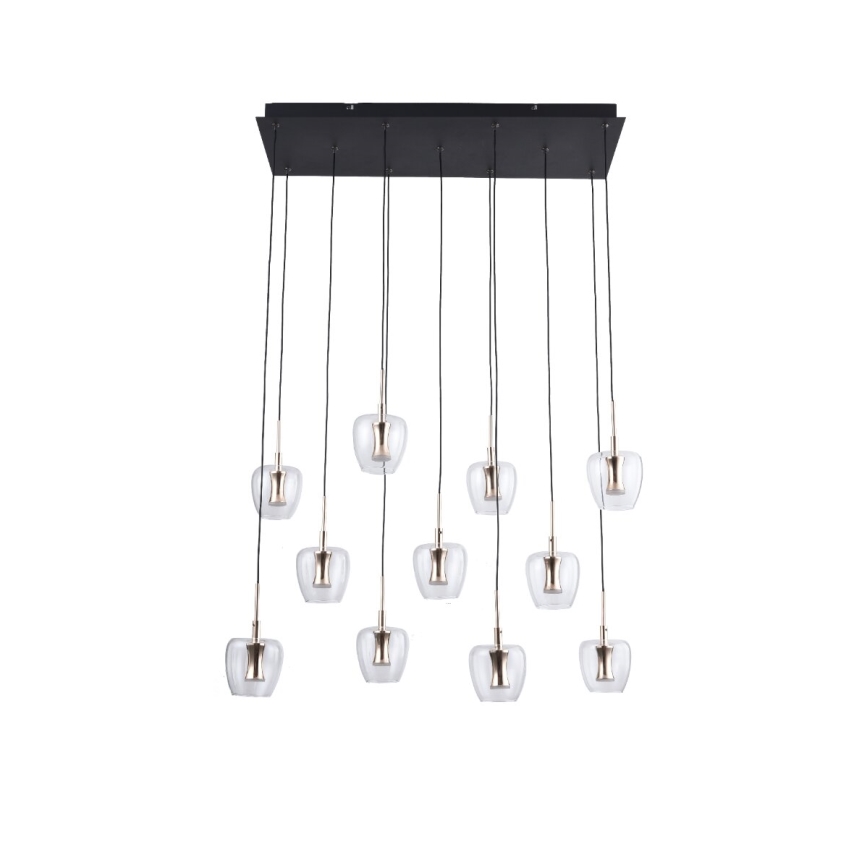 Zuma Line - Lámpara de suspensión LED con cable 11xLED/3W/230V negra