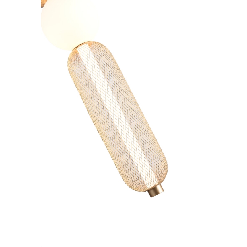 Zuma Line - Lámpara colgante LED regulable con cable LED/27W/230V 3000-5700K dorada + mando a distancia